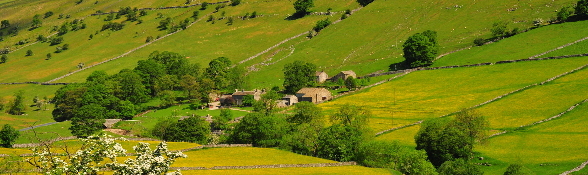 yockenthwaite farm view langstrothdale chase in sunny may